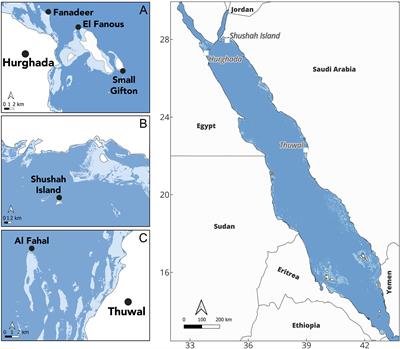 Spatial variation in spawning timing for multi-species Acropora assemblages in the Red Sea